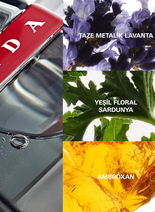 Prada Luna Rossa Carbon Eau De Toilette Spray 100Ml, Multi, 3.4 Ounce